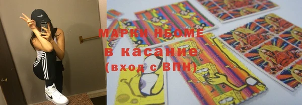 хмурый Инта