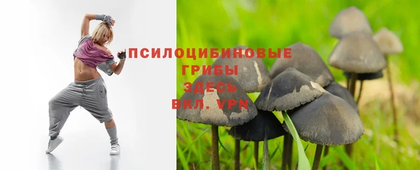 хмурый Инта