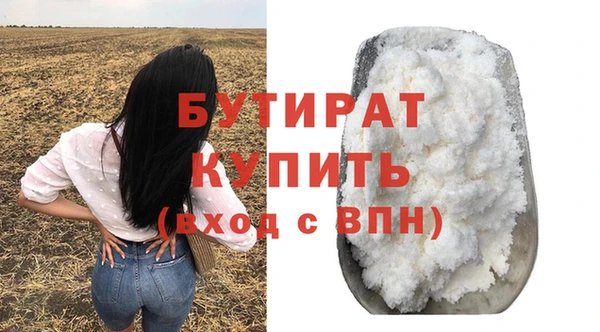 хмурый Инта