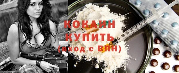 ALPHA PVP Инсар