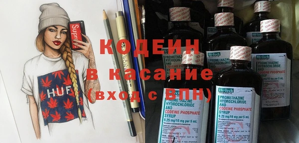 хмурый Инта