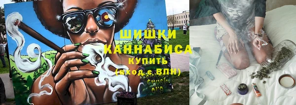хмурый Инта