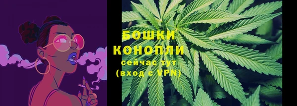 ALPHA PVP Инсар