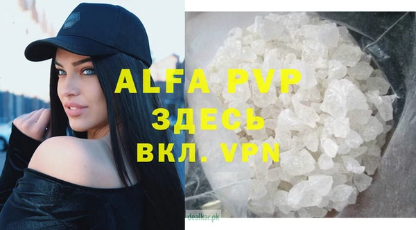 хмурый Инта